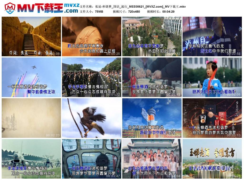 张延-和谐梦_国语_流行_MEE00621